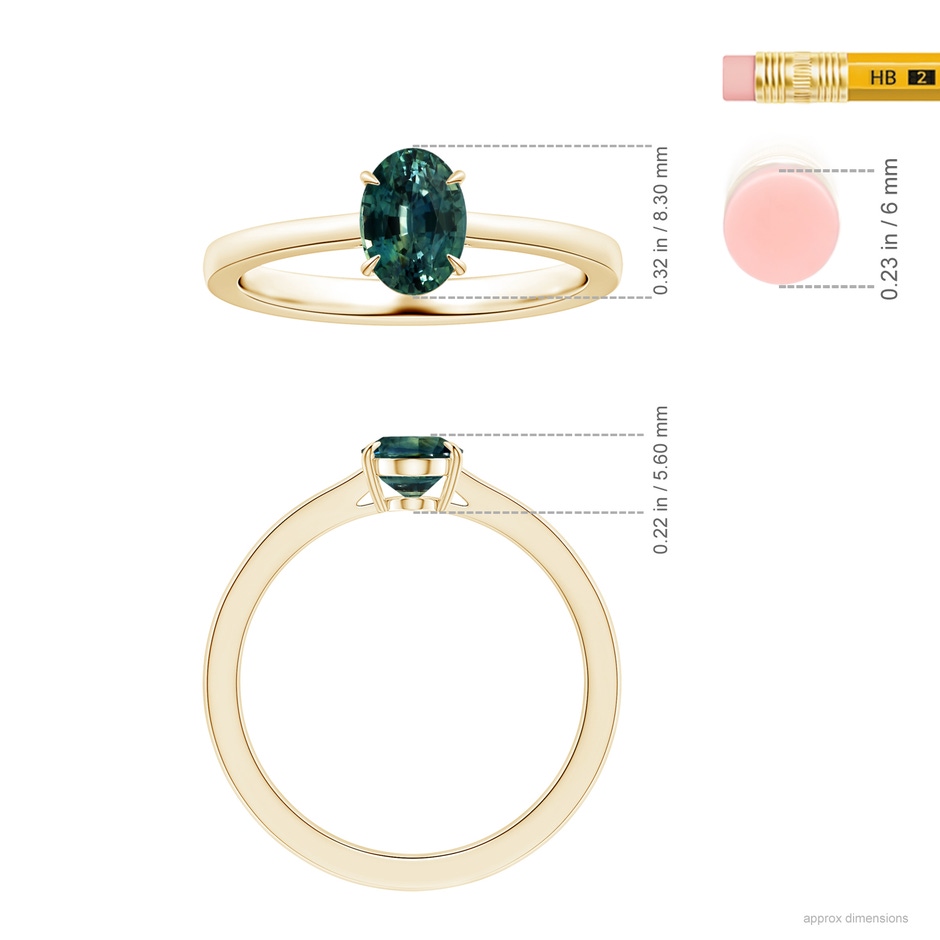 8.31x6.92x4.91mm AAA Claw-Set GIA Certified Solitaire Oval Teal Sapphire Reverse Tapered Shank Ring in Yellow Gold ruler