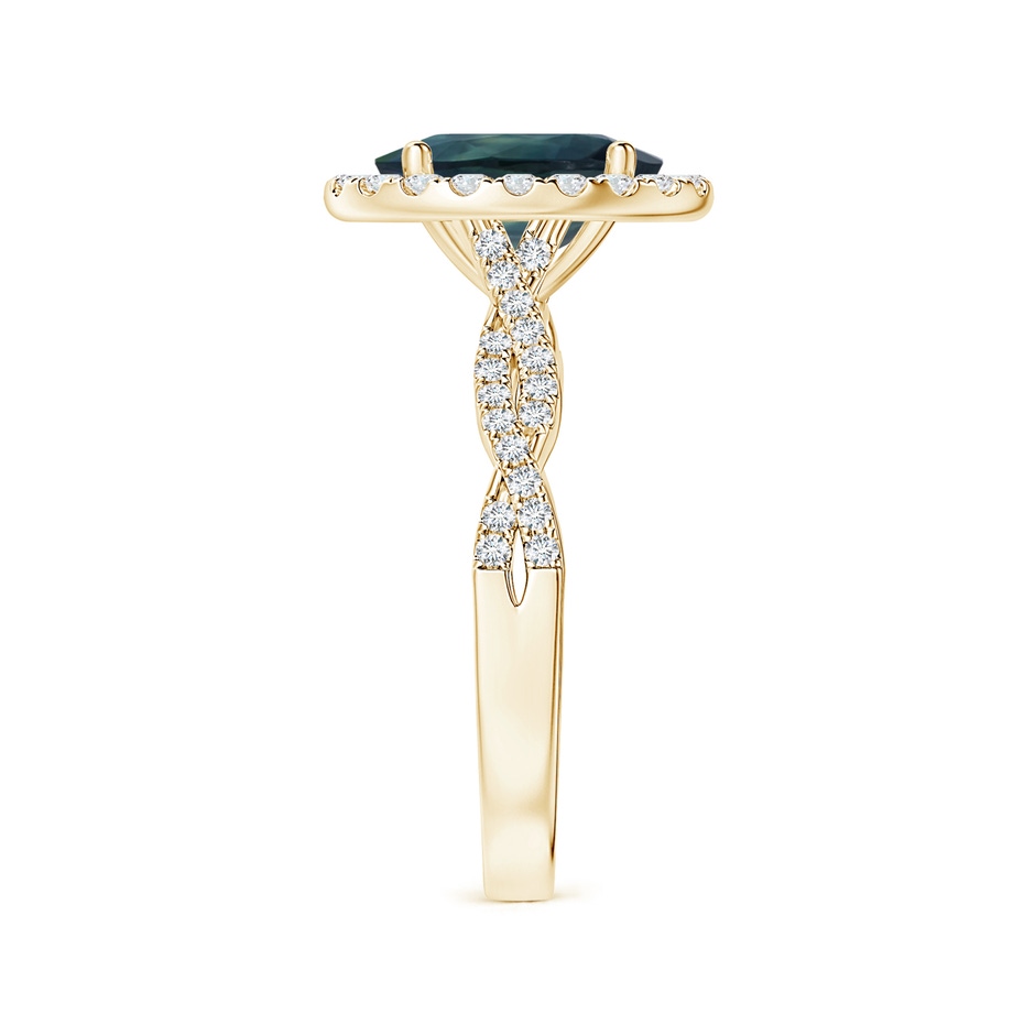 8.92x7.07x6.66mm AAA GIA Certified Oval Teal Sapphire Twisted Diamond Shank Ring with Halo in Yellow Gold side-2
