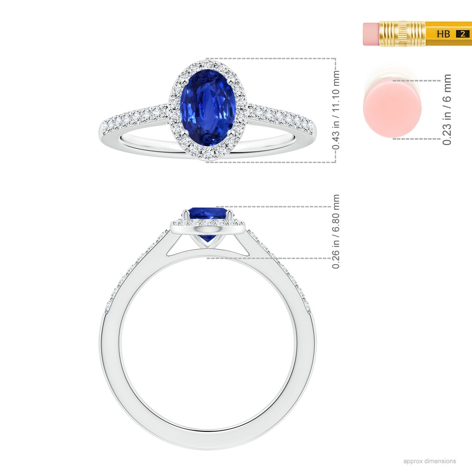 8.07x6.09x3.69mm AAAA GIA Certified Oval Blue Sapphire Ring with Diamond Halo in P950 Platinum ruler