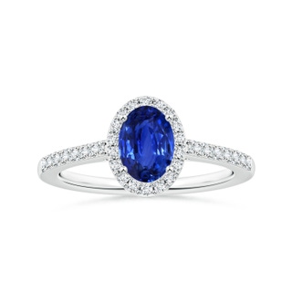 8.07x6.09x3.69mm AAAA GIA Certified Oval Blue Sapphire Ring with Diamond Halo in White Gold