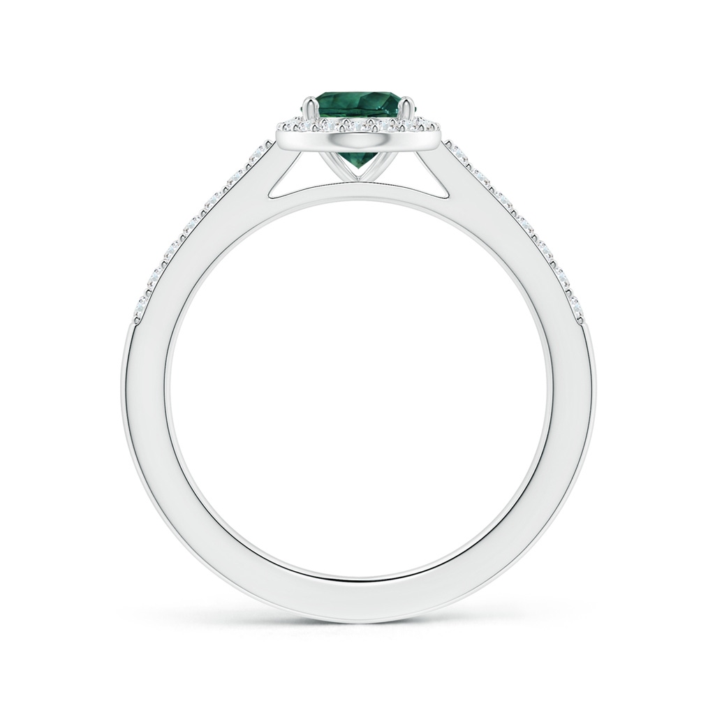 8.08x6.05x4.30mm AAA GIA Certified Oval Teal Montana Sapphire Halo Ring with Diamonds in 18K White Gold - side 199