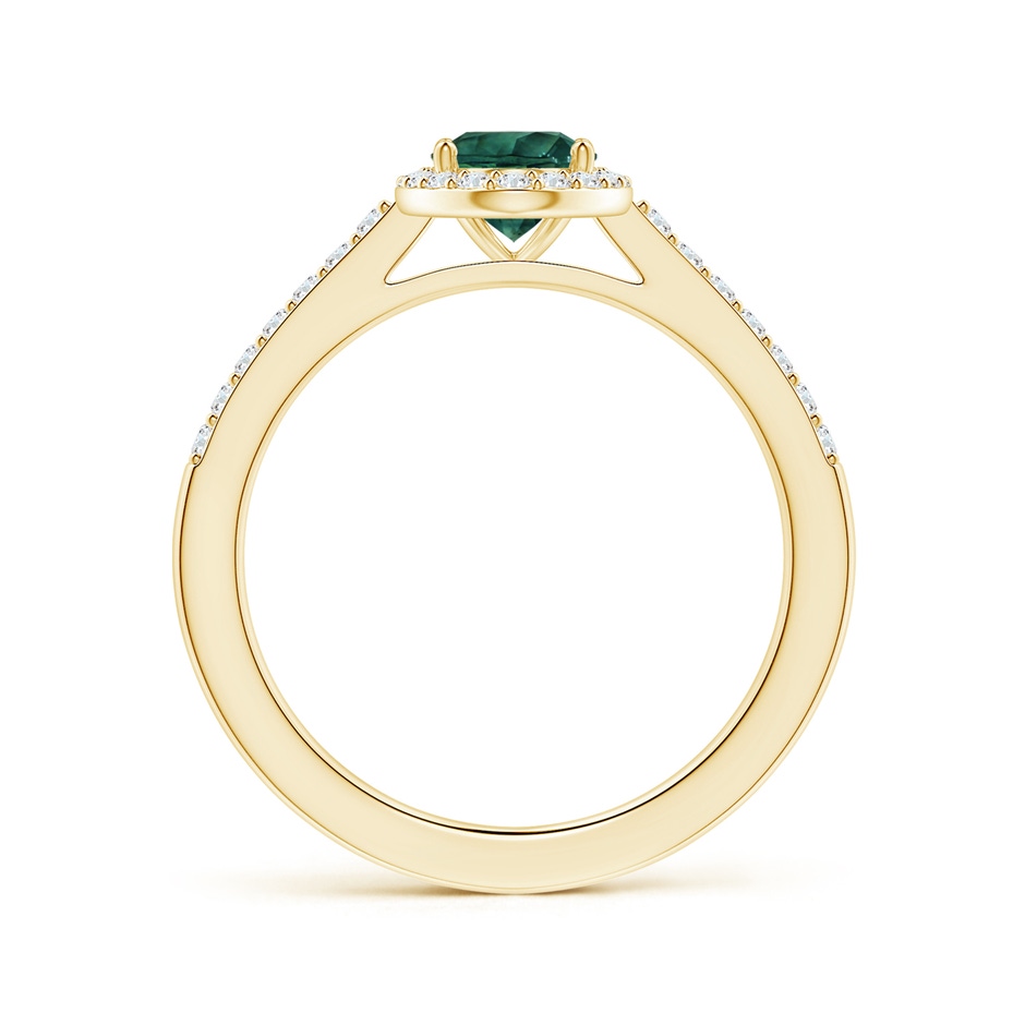 8.08x6.05x4.30mm AAA GIA Certified Oval Teal Montana Sapphire Halo Ring with Diamonds in 18K Yellow Gold side 199
