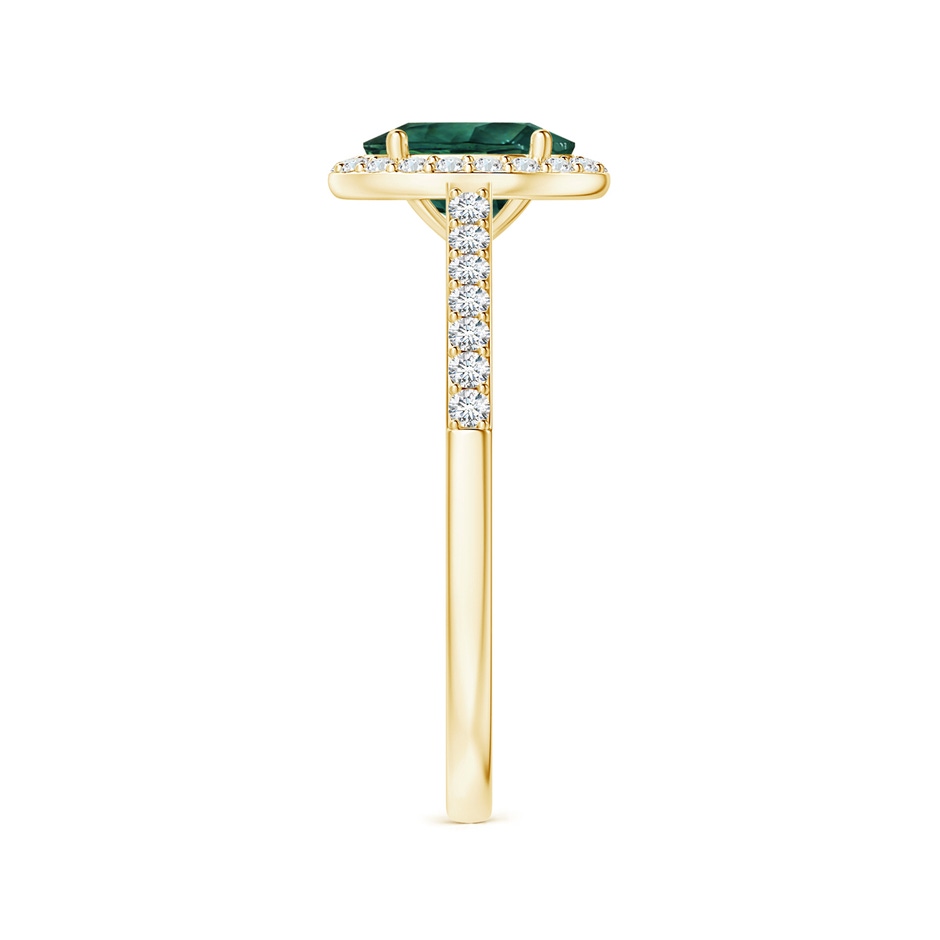 8.08x6.05x4.30mm AAA GIA Certified Oval Teal Montana Sapphire Halo Ring with Diamonds in 18K Yellow Gold side 399
