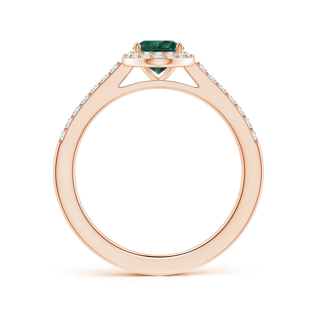 8.08x6.05x4.30mm AAA GIA Certified Oval Teal Montana Sapphire Halo Ring with Diamonds in Rose Gold - side 199