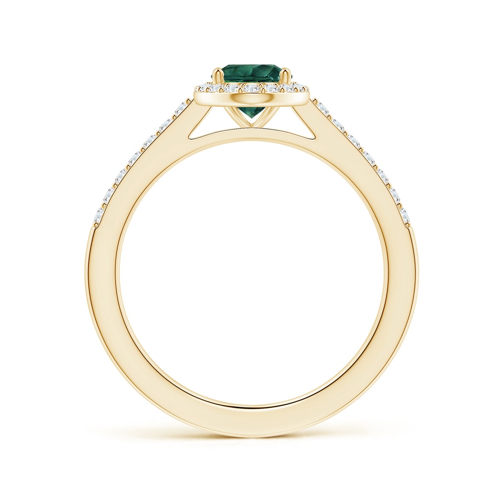 8.08x6.05x4.30mm AAA GIA Certified Oval Teal Montana Sapphire Halo Ring with Diamonds in Yellow Gold - side 199