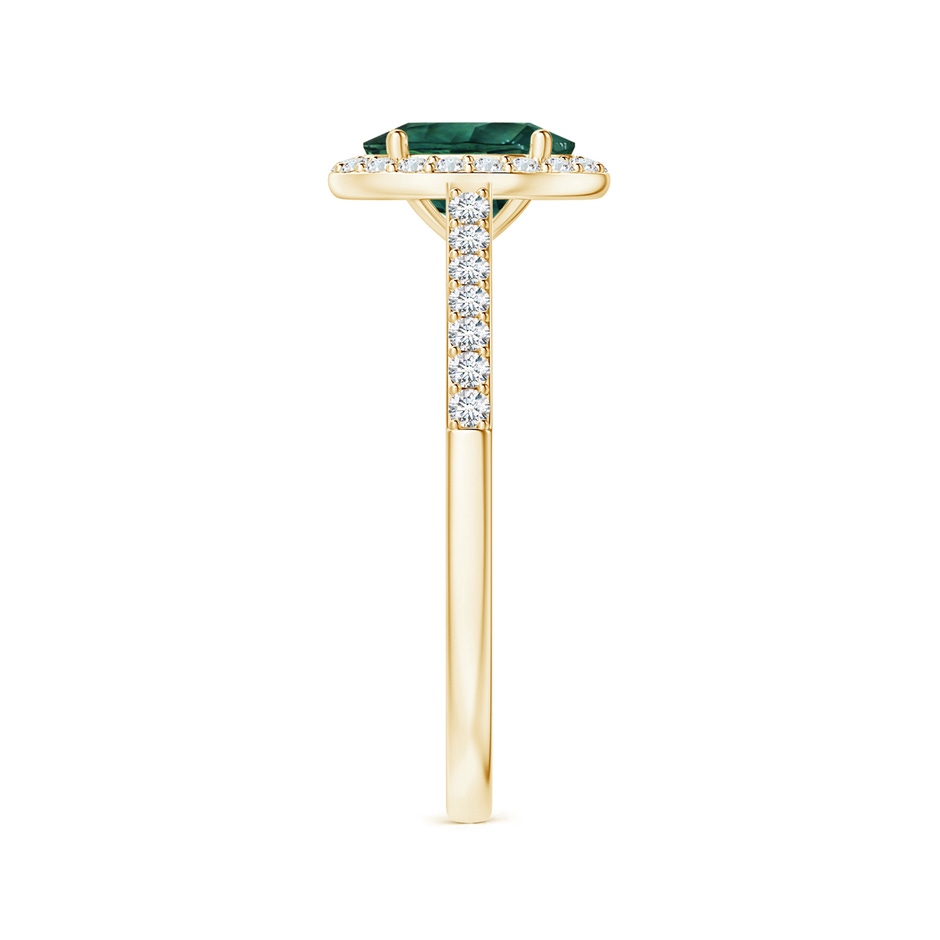 8.08x6.05x4.30mm AAA GIA Certified Oval Teal Montana Sapphire Halo Ring with Diamonds in Yellow Gold side 399