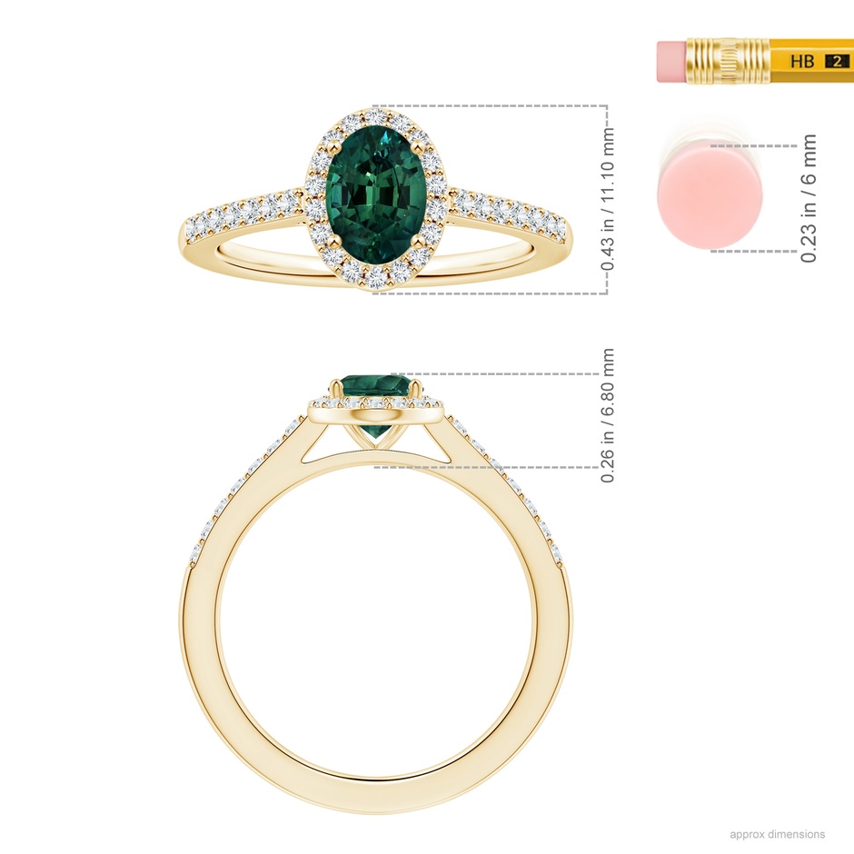 8.08x6.05x4.30mm AAA GIA Certified Oval Teal Montana Sapphire Halo Ring with Diamonds in Yellow Gold ruler