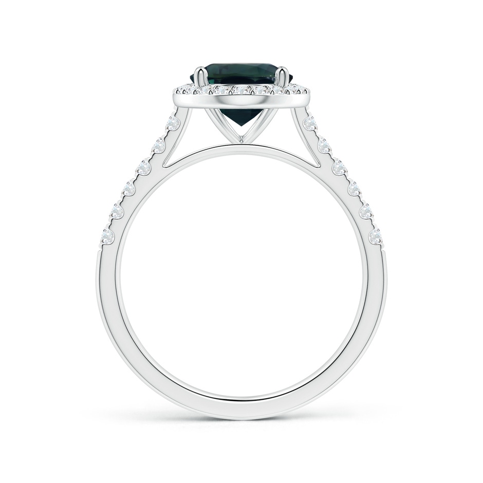 9.70x7.06x5.66mm A GIA Certified Oval Blue Sapphire Halo Ring with Diamond Accents in P950 Platinum side-1