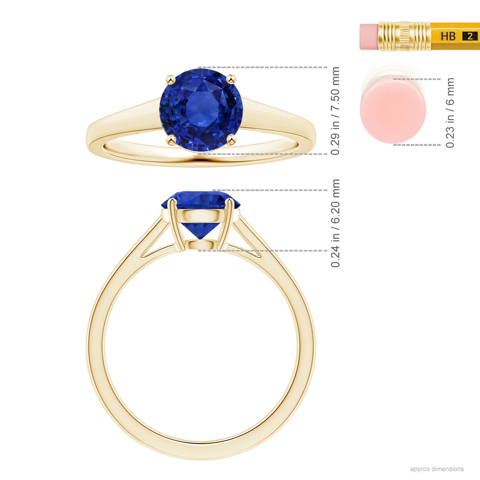 8.88x8.84x5.63mm AAA GIA Certified Round Sapphire Solitaire Ring with Tapered Shank in Yellow Gold ruler
