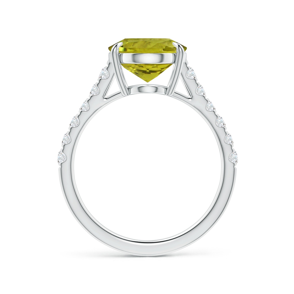 10.94x8.09x4.86mm AA Claw-Set GIA Certified Oval Tourmaline Ring with Diamonds in 18K White Gold - side 199