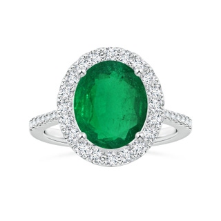 10.5x8mm AAA GIA Certified Oval Emerald Halo Ring with Reverse Tapered Shank in P950 Platinum