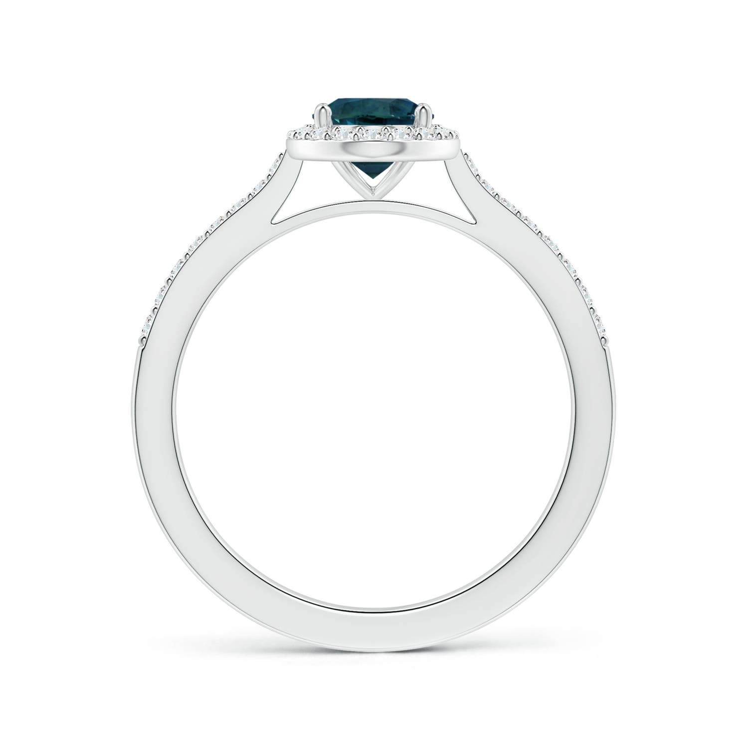 7.93x5.97x4.94mm AAA GIA Certified Oval Teal Sapphire Reverse Tapered Ring with Halo in 18CT White Gold - side 2