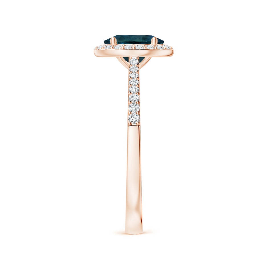 7.93x5.97x4.94mm AAA GIA Certified Oval Teal Sapphire Reverse Tapered Ring with Halo in Rose Gold side-2