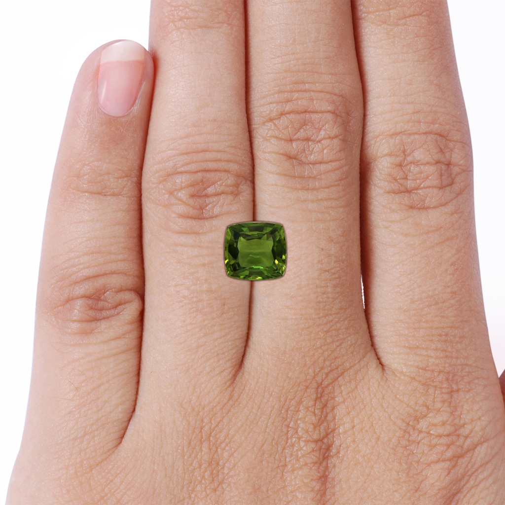 9.30x8.70x4.57mm AAA Princess Diana Inspired GIA Certified Cushion Green Sapphire Halo Ring in P950 Platinum Stone-Body