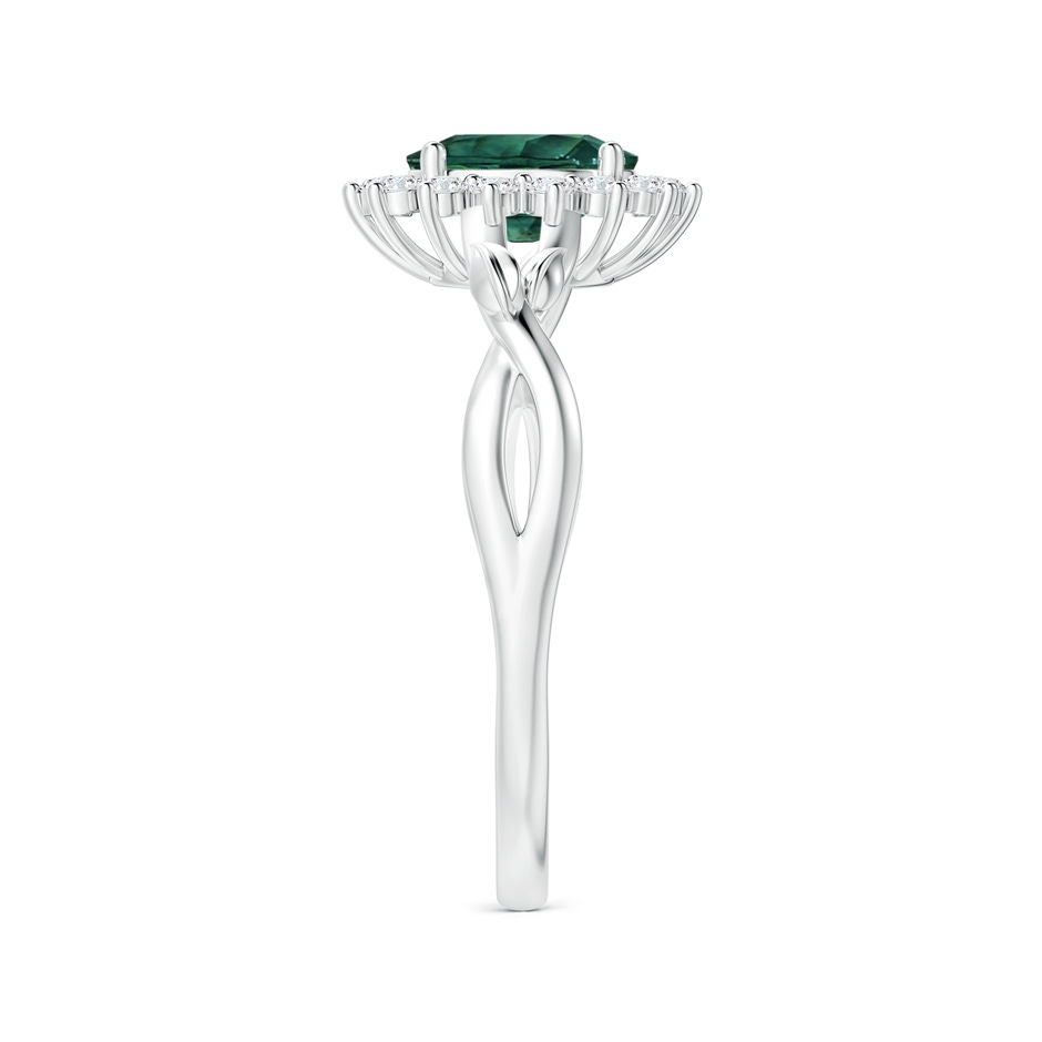 8.08x6.05x4.30mm AAA Princess Diana Inspired GIA Certified Oval Teal Sapphire Halo Ring in P950 Platinum side-2