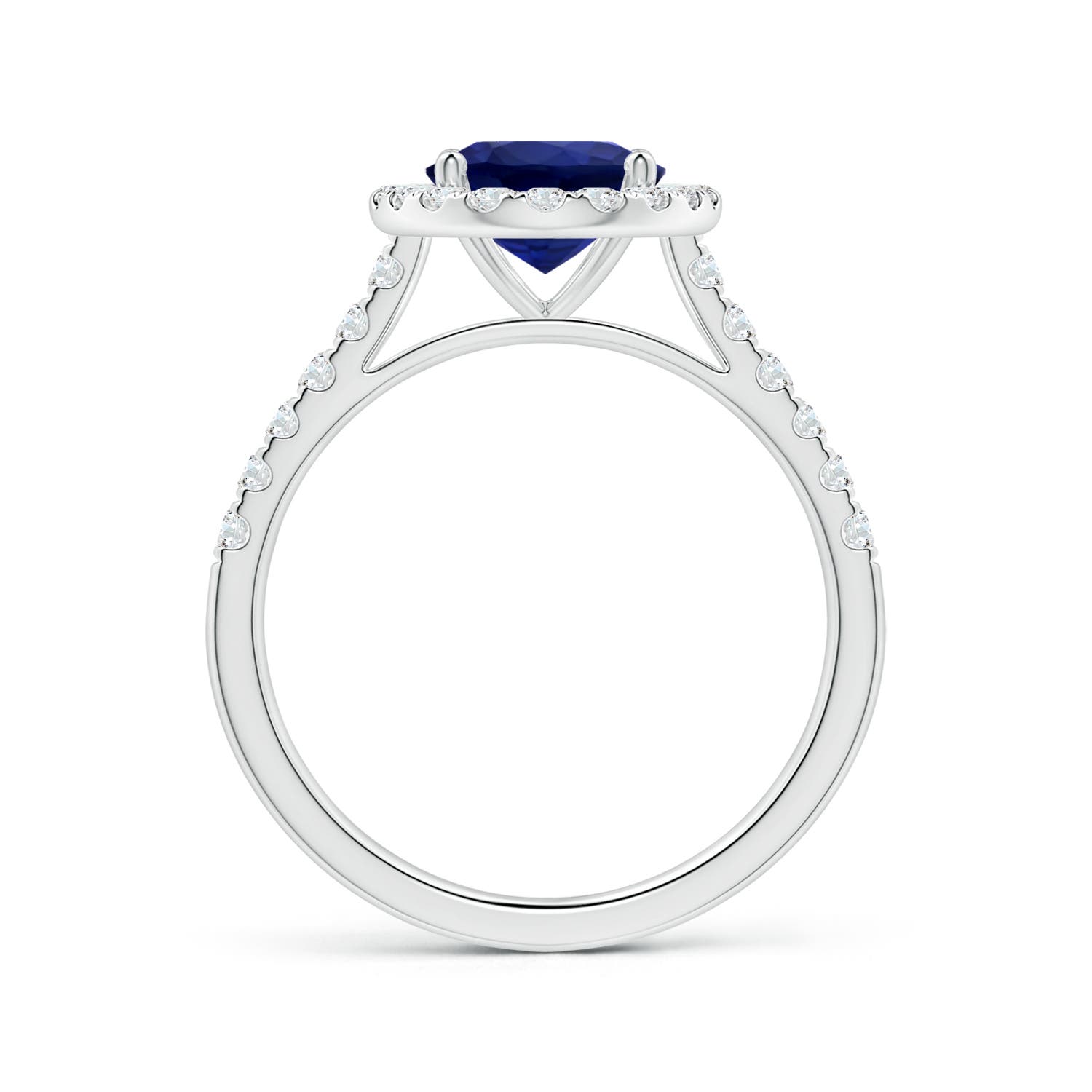9.62x7.60x4.51mm AAA GIA Certified Oval Blue Sapphire Halo Ring with Diamonds in White Gold - side 2