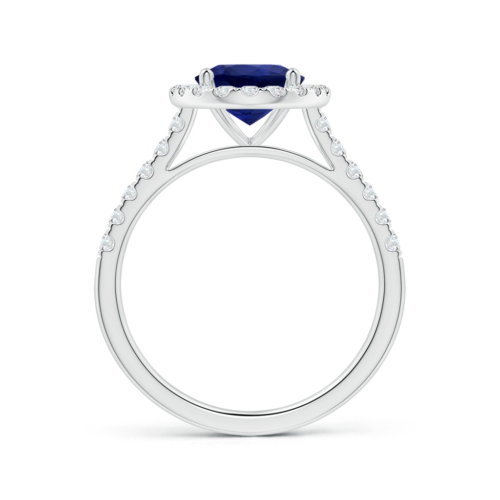 9.62x7.60x4.51mm AAA GIA Certified Oval Blue Sapphire Halo Ring with Diamonds in White Gold - side 199