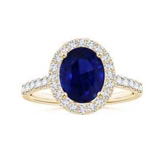 Oval AAA Blue Sapphire