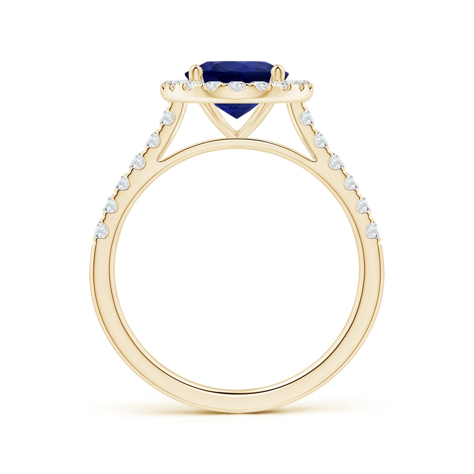 9.62x7.60x4.51mm AAA GIA Certified Oval Blue Sapphire Halo Ring with Diamonds in Yellow Gold side 199