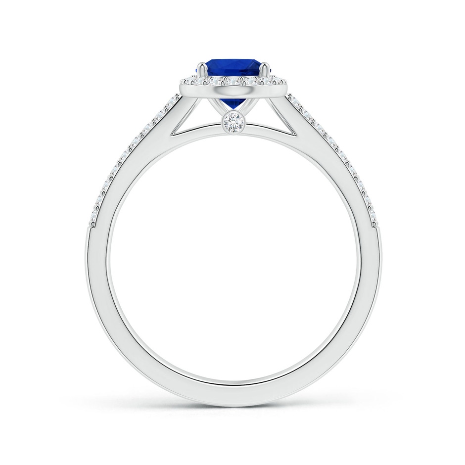 7.87x5.85x3.74mm AAAA GIA Certified Oval Blue Sapphire Halo Ring with Diamond Split Shank in P950 Platinum side 199