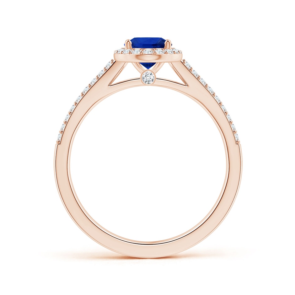7.87x5.85x3.74mm AAAA GIA Certified Oval Blue Sapphire Halo Ring with Diamond Split Shank in Rose Gold side 199