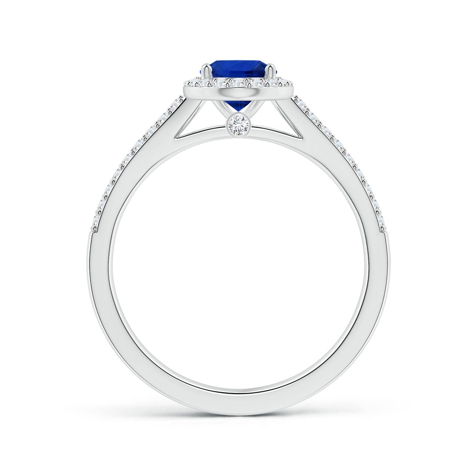 7.87x5.85x3.74mm AAAA GIA Certified Oval Blue Sapphire Halo Ring with Diamond Split Shank in White Gold side 199