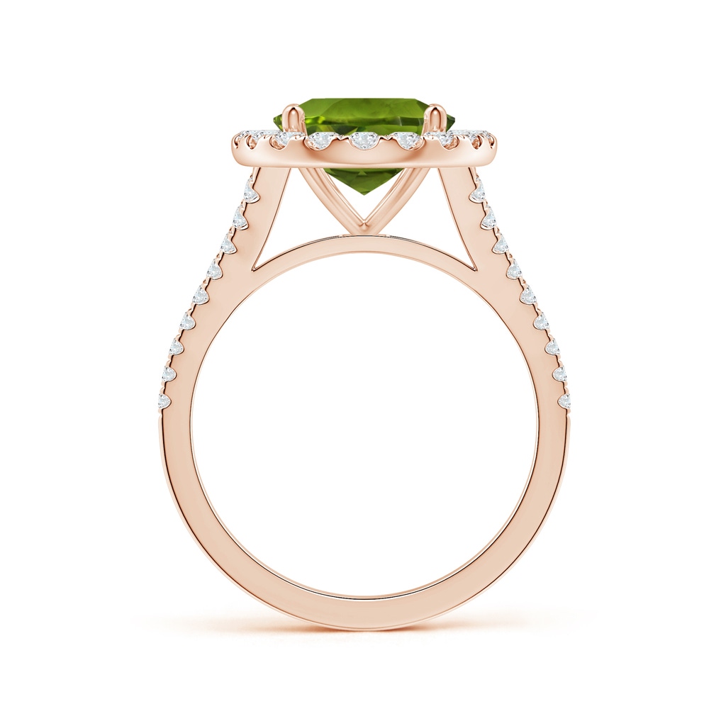 11.03x8.92x5.66mm AAA GIA Certified Oval Peridot Split Shank Ring with Diamond Halo in Rose Gold - side 199
