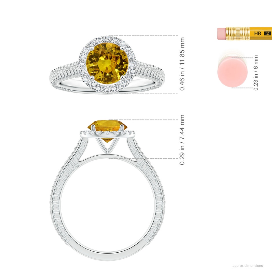 7.99x7.93x5.51mm AAA GIA Certified Yellow Sapphire Feather Ring with Diamond Halo in P950 Platinum Ruler