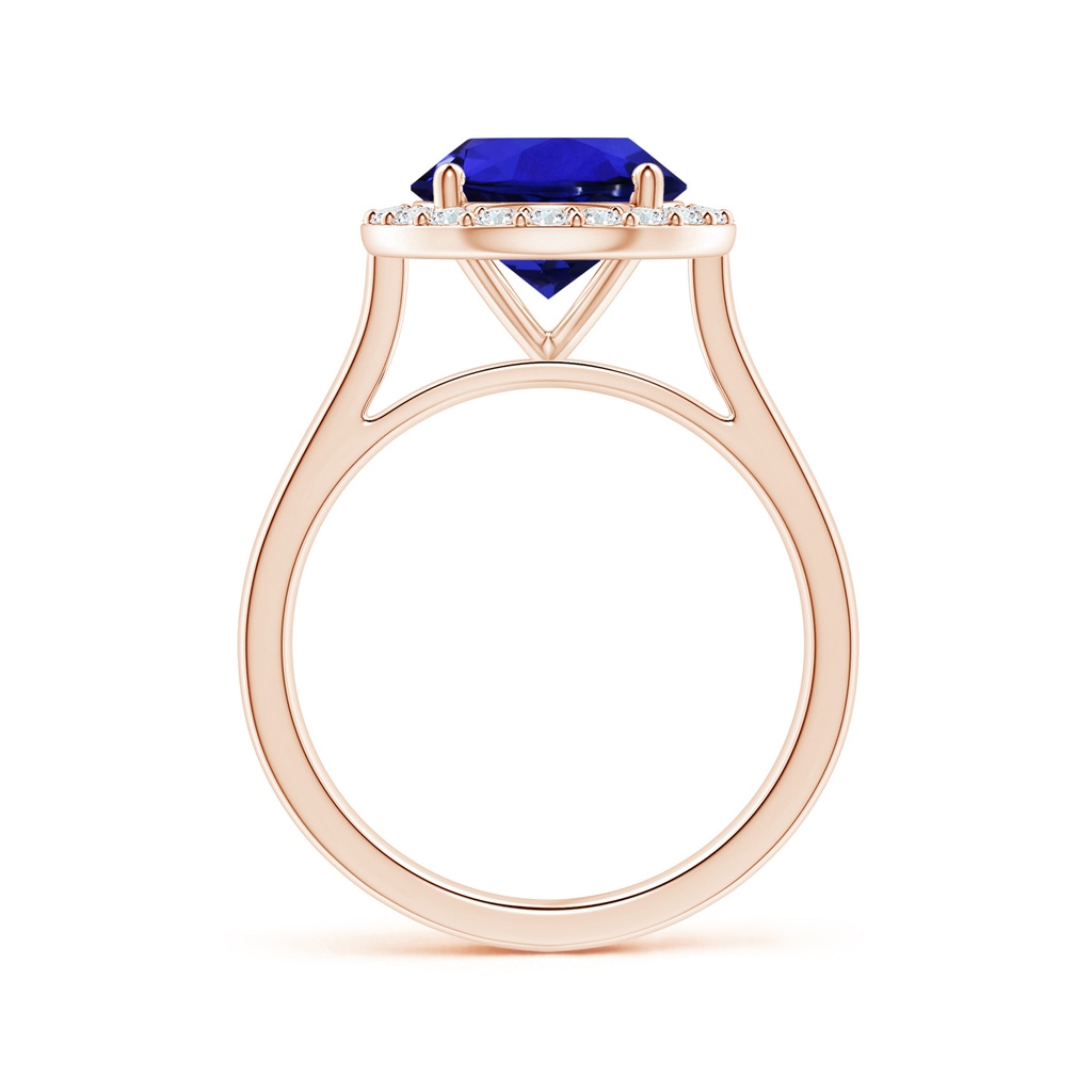 9.96x9.84x6.58mm AAAA GIA Certified Round Tanzanite Ring with Diamond Halo in Rose Gold - Side 199