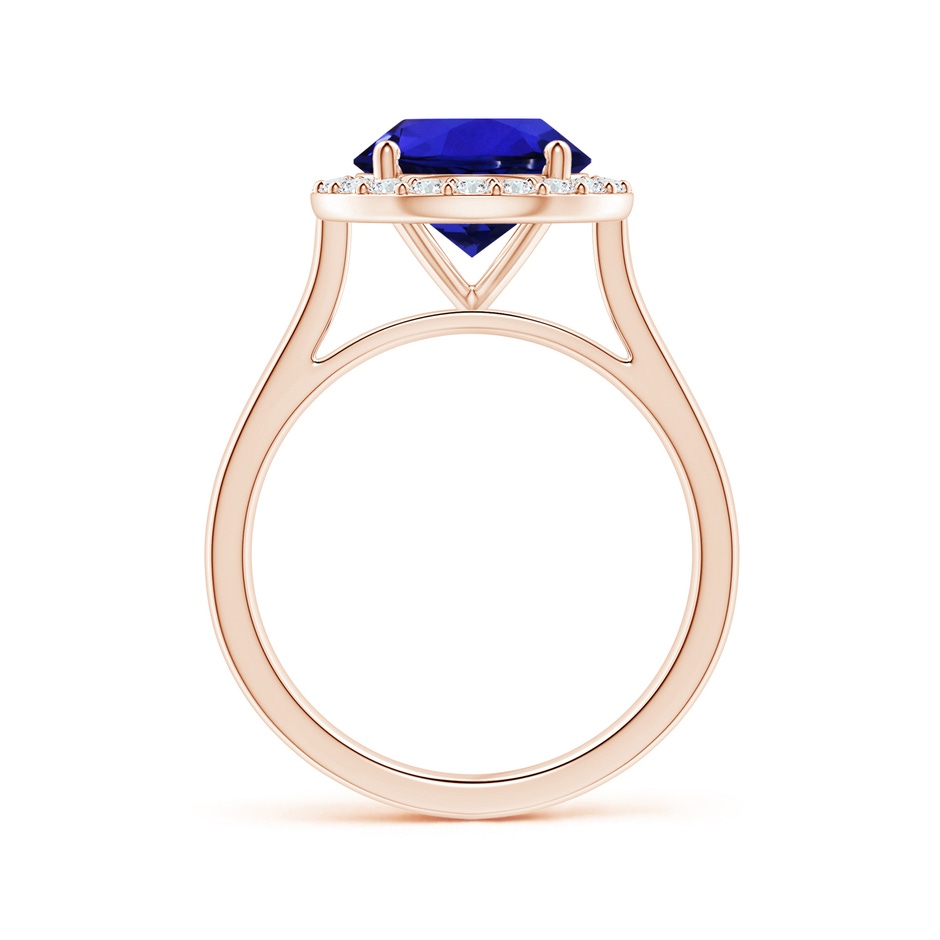 9.96x9.84x6.58mm AAAA GIA Certified Round Tanzanite Ring with Diamond Halo in Rose Gold Side 199