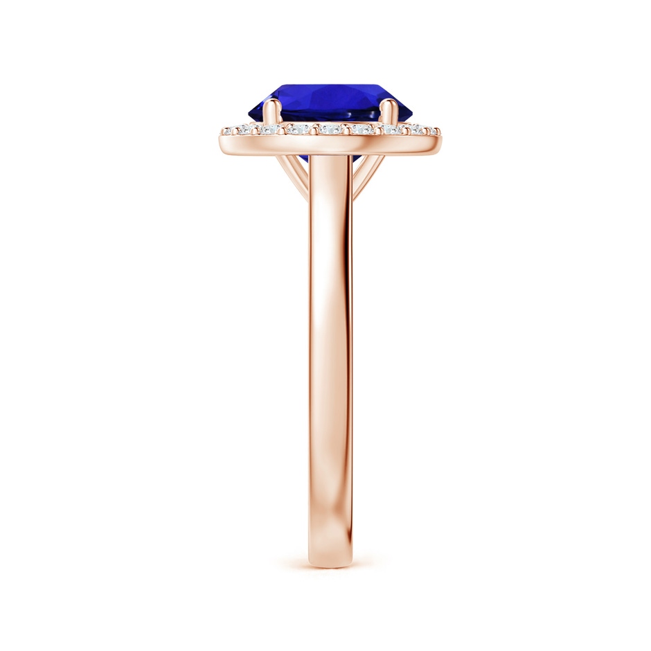 9.96x9.84x6.58mm AAAA GIA Certified Round Tanzanite Ring with Diamond Halo in Rose Gold Side 399
