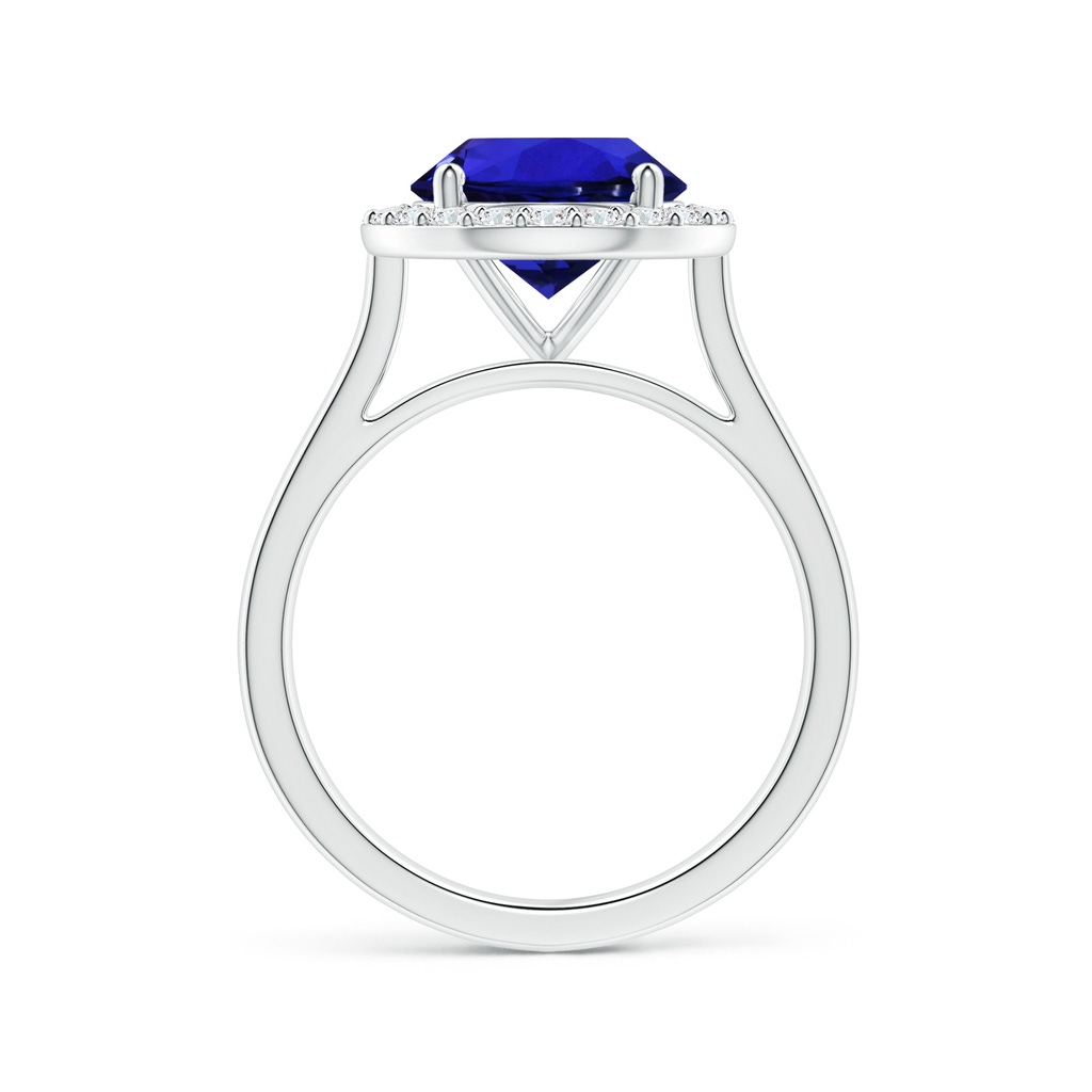 9.96x9.84x6.58mm AAAA GIA Certified Round Tanzanite Ring with Diamond Halo in White Gold - side 199