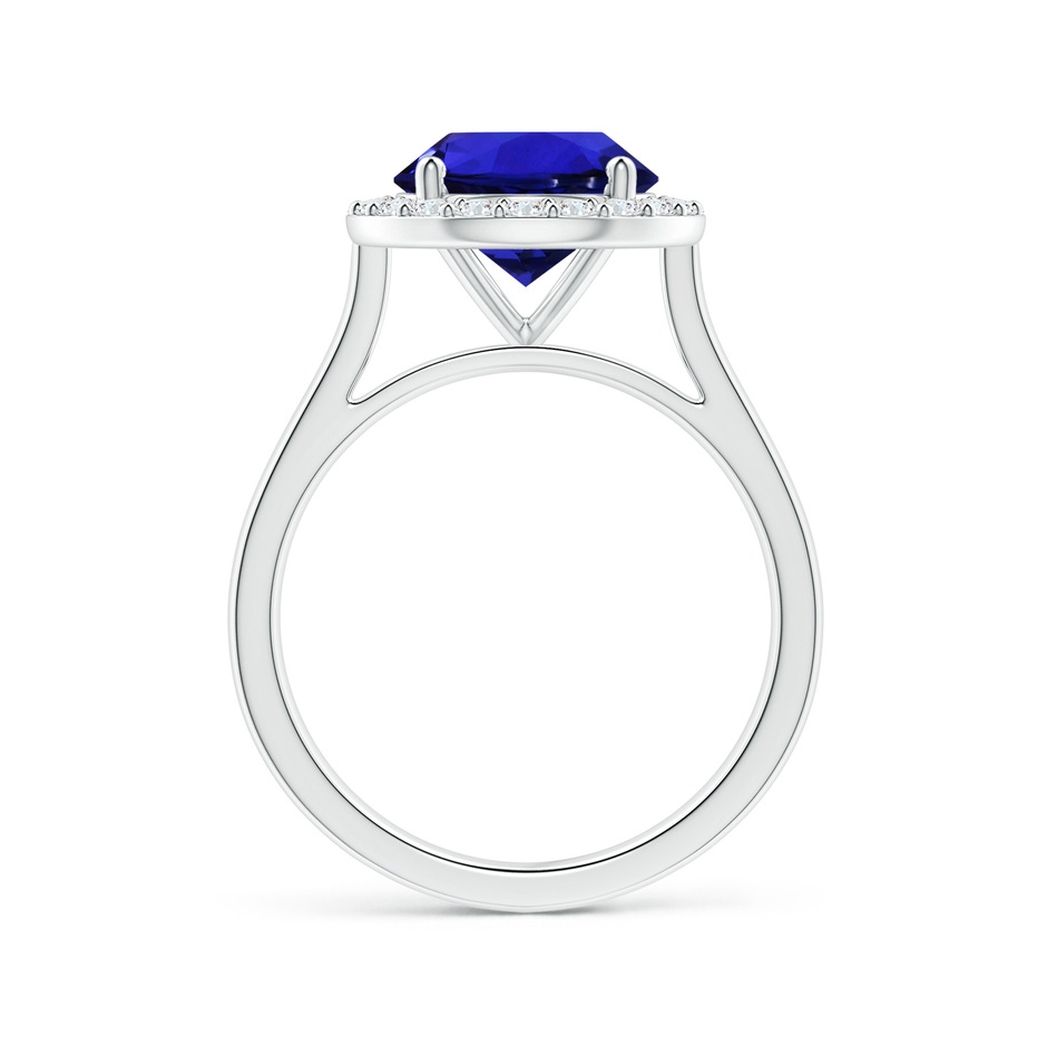 9.96x9.84x6.58mm AAAA GIA Certified Round Tanzanite Ring with Diamond Halo in White Gold side 199