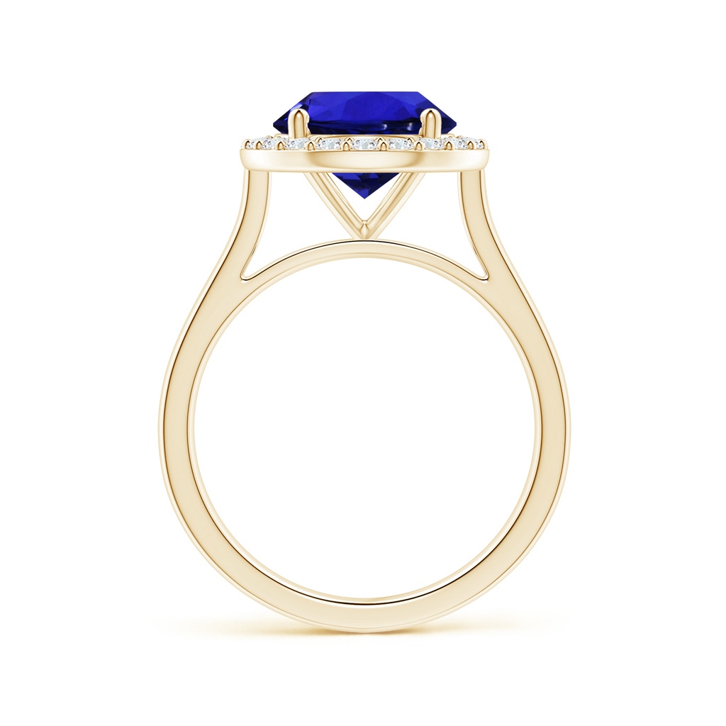 9.96x9.84x6.58mm AAAA GIA Certified Round Tanzanite Ring with Diamond Halo in Yellow Gold - Side 199