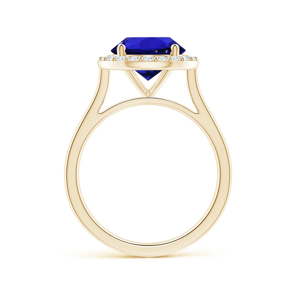 9.96x9.84x6.58mm AAAA GIA Certified Round Tanzanite Ring with Diamond Halo in Yellow Gold Side 199