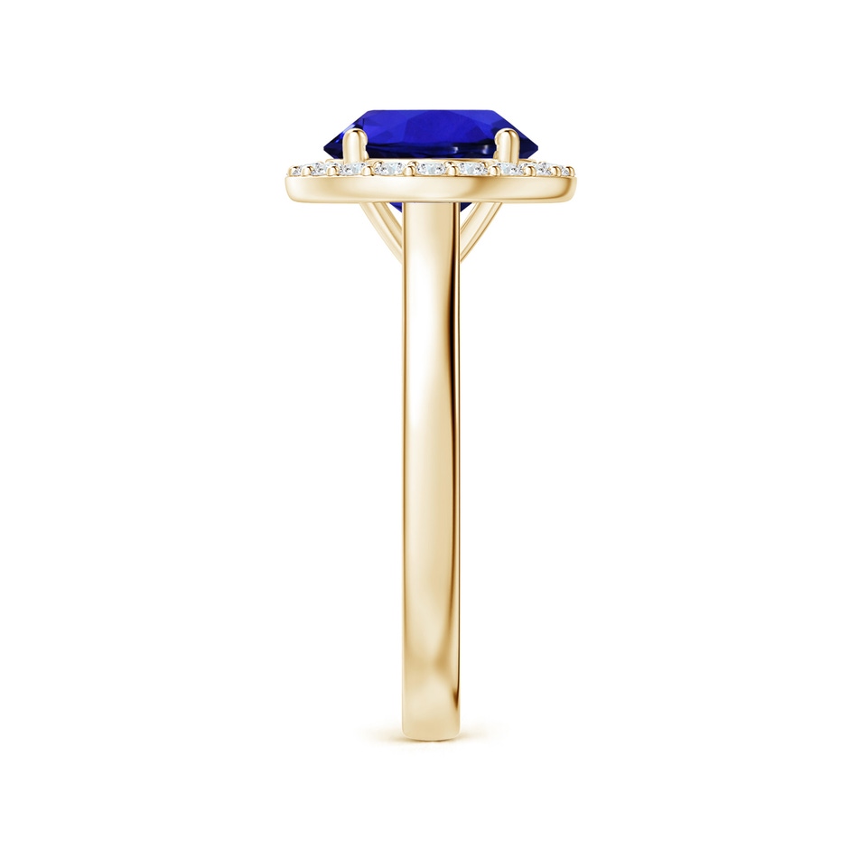 9.96x9.84x6.58mm AAAA GIA Certified Round Tanzanite Ring with Diamond Halo in Yellow Gold Side 399
