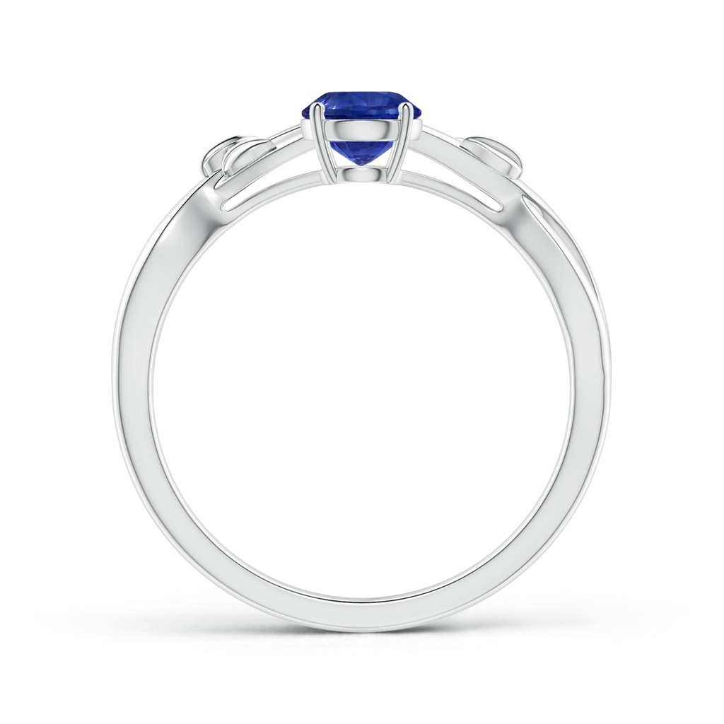 4.99x4.96x2.93mm AAA Nature Inspired GIA Certified Round Blue Sapphire Solitaire Ring in P950 Platinum Side 199
