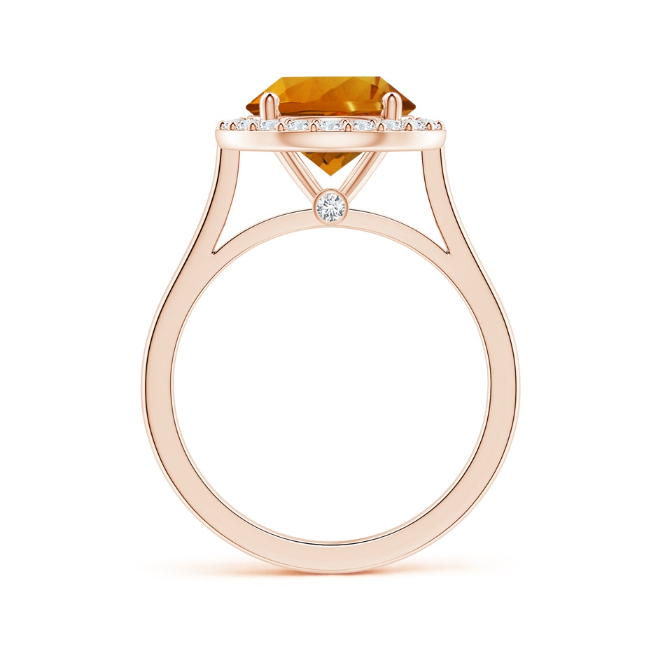 10.07x10.00x6.98mm AAAA GIA Certified Citrine Halo Ring with Reverse Tapered Diamond Shank in Rose Gold side 199