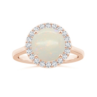 11.17x11.10x3.80mm AA GIA Certified Round Opal Halo Ring with Reverse Tapered Shank in 10K Rose Gold