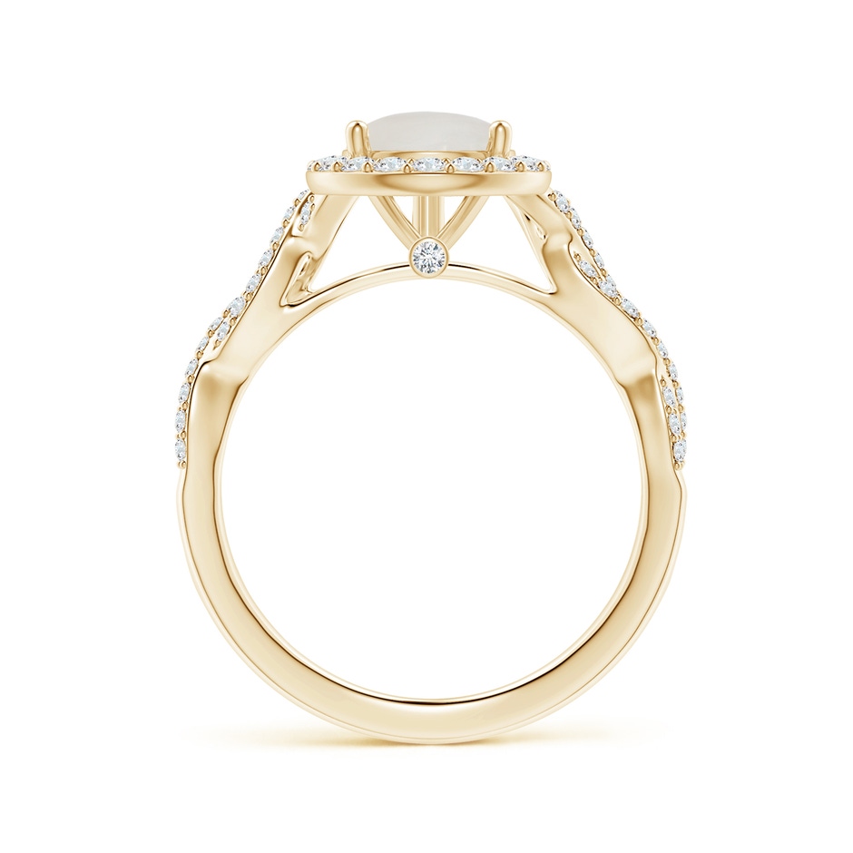 10.13x6.92x3.56mm AAAA GIA Certified Pear-Shaped Rainbow Moonstone Twisted Shank Ring with Diamonds in Yellow Gold side 199