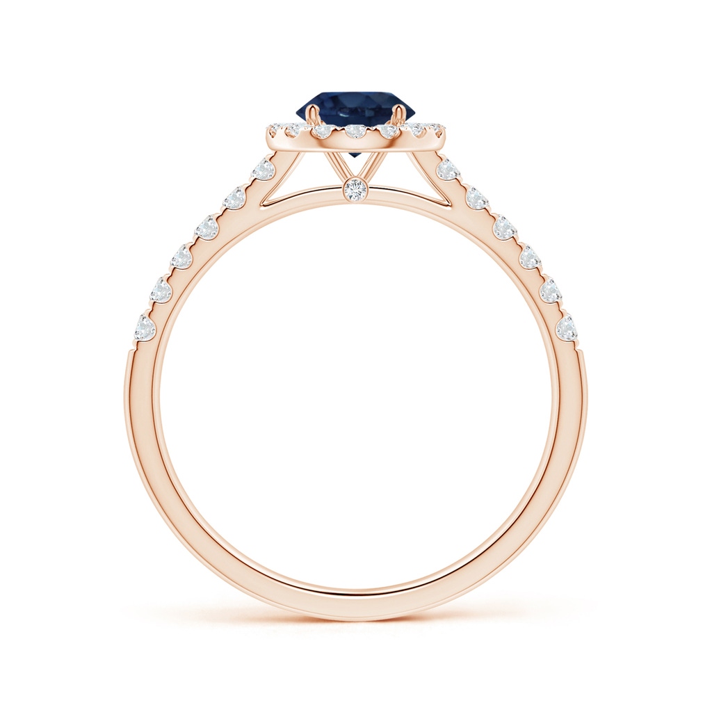 5.70x5.70x3.67mm AA GIA Certified Round Blue Sapphire Halo Ring with Diamonds in Rose Gold Side-1