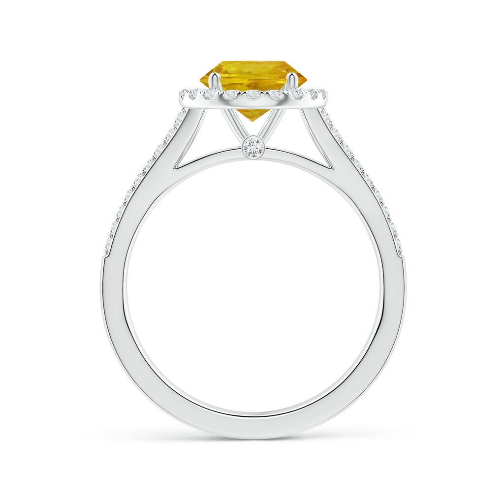 6.97-7.01-4.98mm AAA Yellow Sapphire Split Shank Ring with Diamond Halo in P950 Platinum - side 199