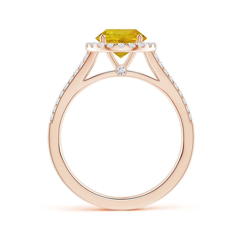 6.97-7.01-4.98mm AAA Yellow Sapphire Split Shank Ring with Diamond Halo in Rose Gold - side 199