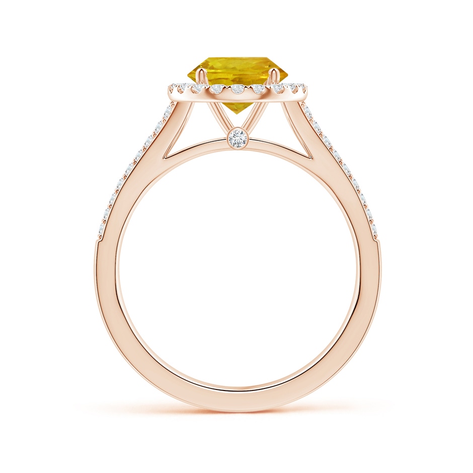 6.97-7.01-4.98mm AAA Yellow Sapphire Split Shank Ring with Diamond Halo in Rose Gold side 199