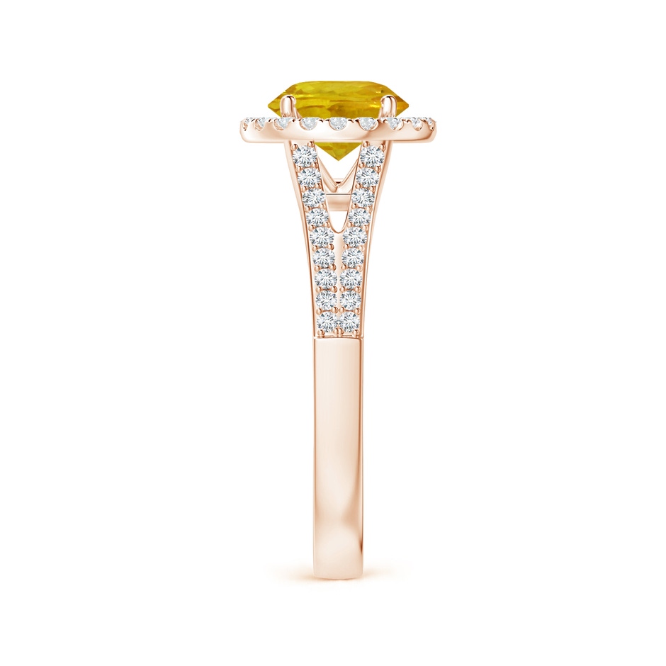 6.97-7.01-4.98mm AAA Yellow Sapphire Split Shank Ring with Diamond Halo in Rose Gold side 399