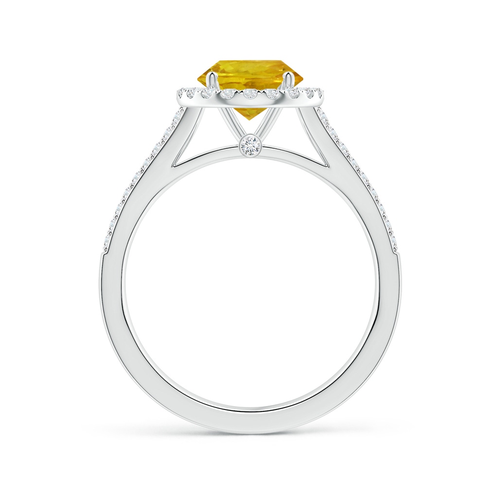 6.97-7.01-4.98mm AAA Yellow Sapphire Split Shank Ring with Diamond Halo in White Gold Side 199