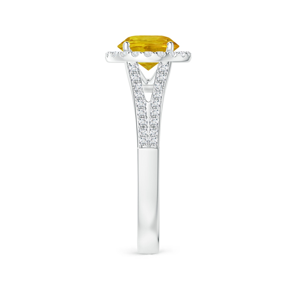 6.97-7.01-4.98mm AAA Yellow Sapphire Split Shank Ring with Diamond Halo in White Gold Side 399