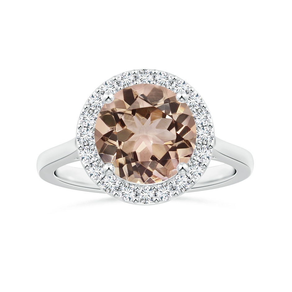 9.04-9.08x5.17mm AAA GIA Certified Round Morganite Halo Ring with Reverse Tapered Shank in P950 Platinum 