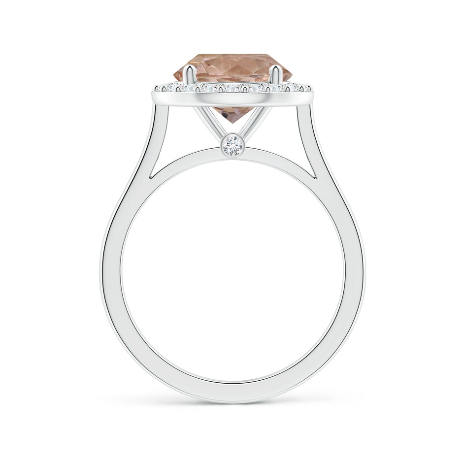 9.04-9.08x5.17mm AAA GIA Certified Round Morganite Halo Ring with Reverse Tapered Shank in P950 Platinum Side 199