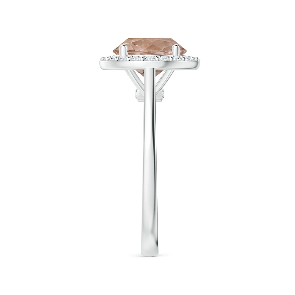 9.04-9.08x5.17mm AAA GIA Certified Round Morganite Halo Ring with Reverse Tapered Shank in P950 Platinum Side 399